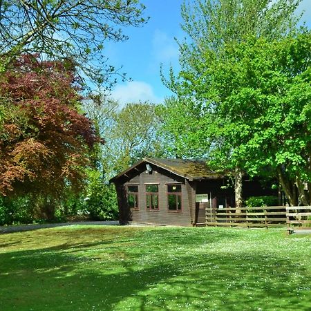 فيلا 37 Trevithick Court, Tolroy Manor هايلي المظهر الخارجي الصورة